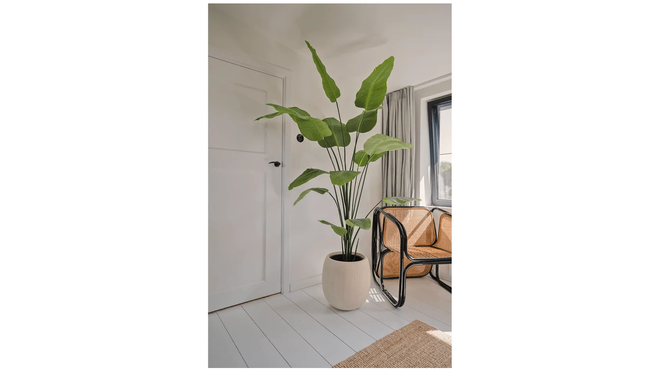 Kunstplant Strelitzia