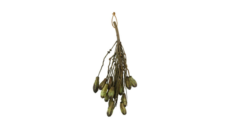 Branch with mahogany coco 65x12x9cm