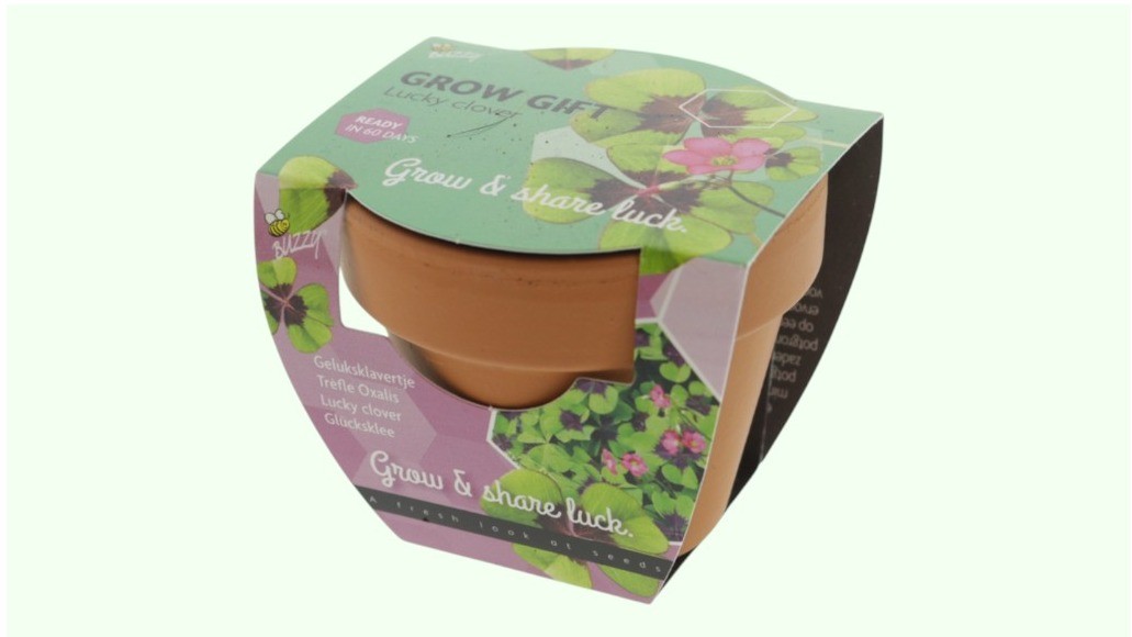 “Klavertje 4” in potje