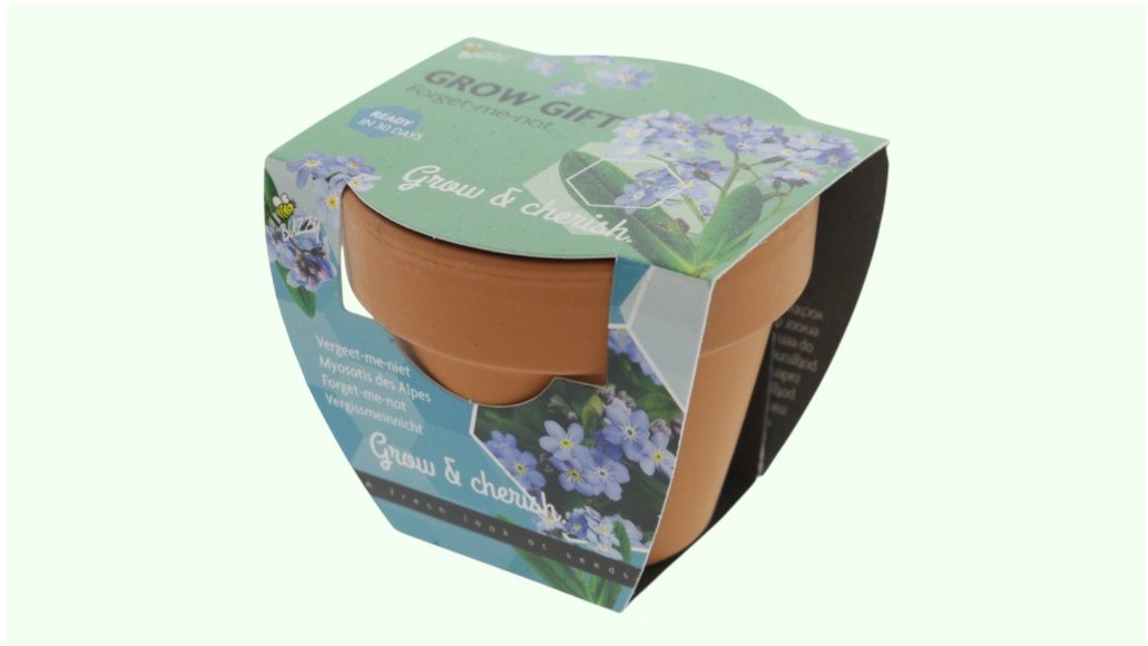 “Vergeet-me-niet” in potje