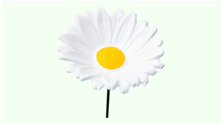 “Margriet” Steker als vogel voeder- drinkbak