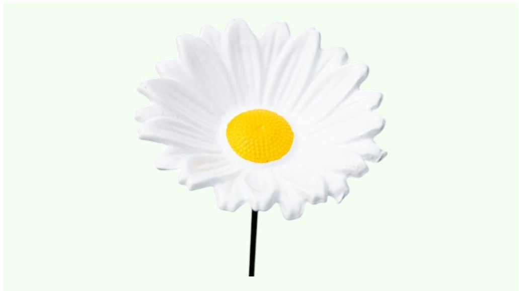 “Margriet” Steker als vogel voeder- drinkbak