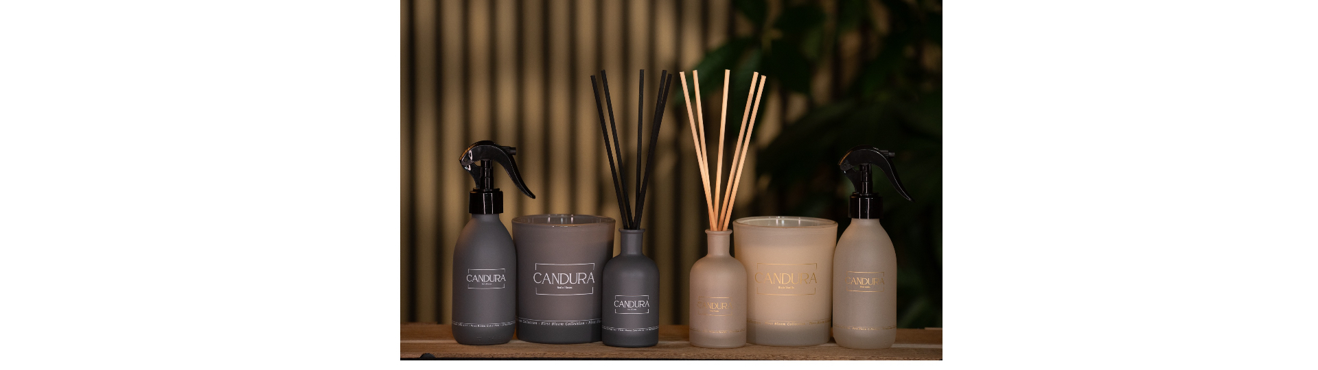 Candura