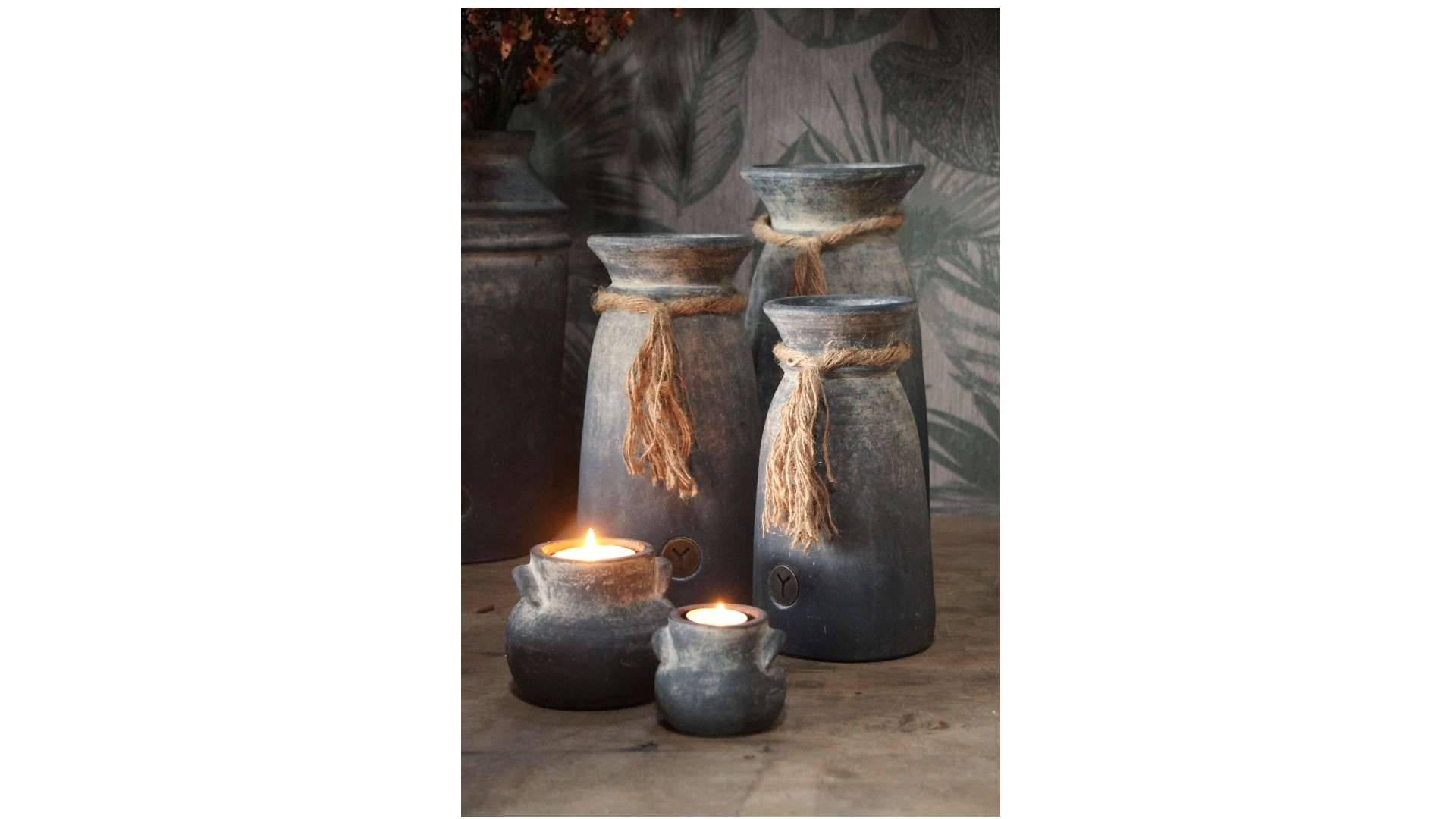 Sitting Scottish Highlander Majestic Brown – Spring Summer 2024