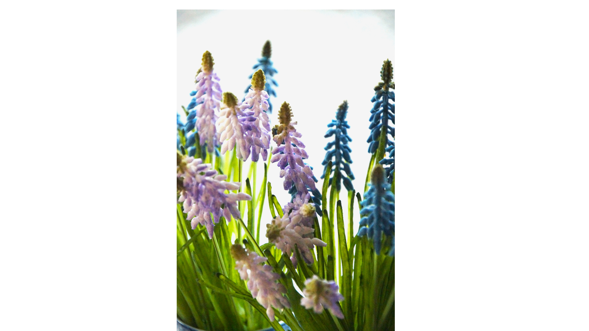 BRYNXZ Vase Impressive Majestic Vintage and Brown – Spring Summer Collection 2025