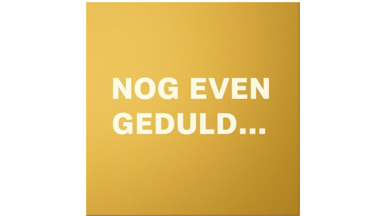 GEUR VOOR THUIS – geurolie met houten stokjes – GOLD EDITION