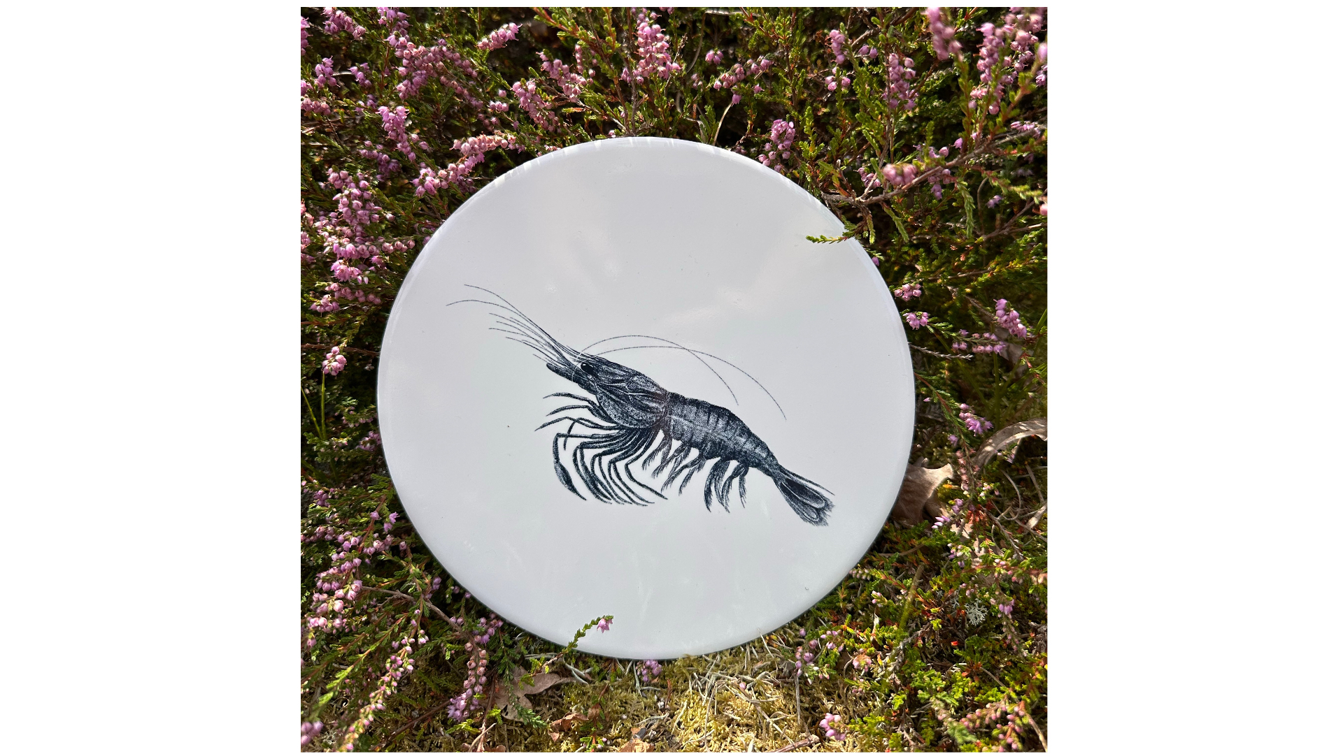 Wandtegel Garnaal | Wad Anders Post Terschelling