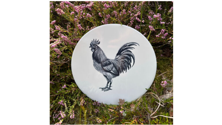 Tegel haan | Wad Anders Post Terschelling