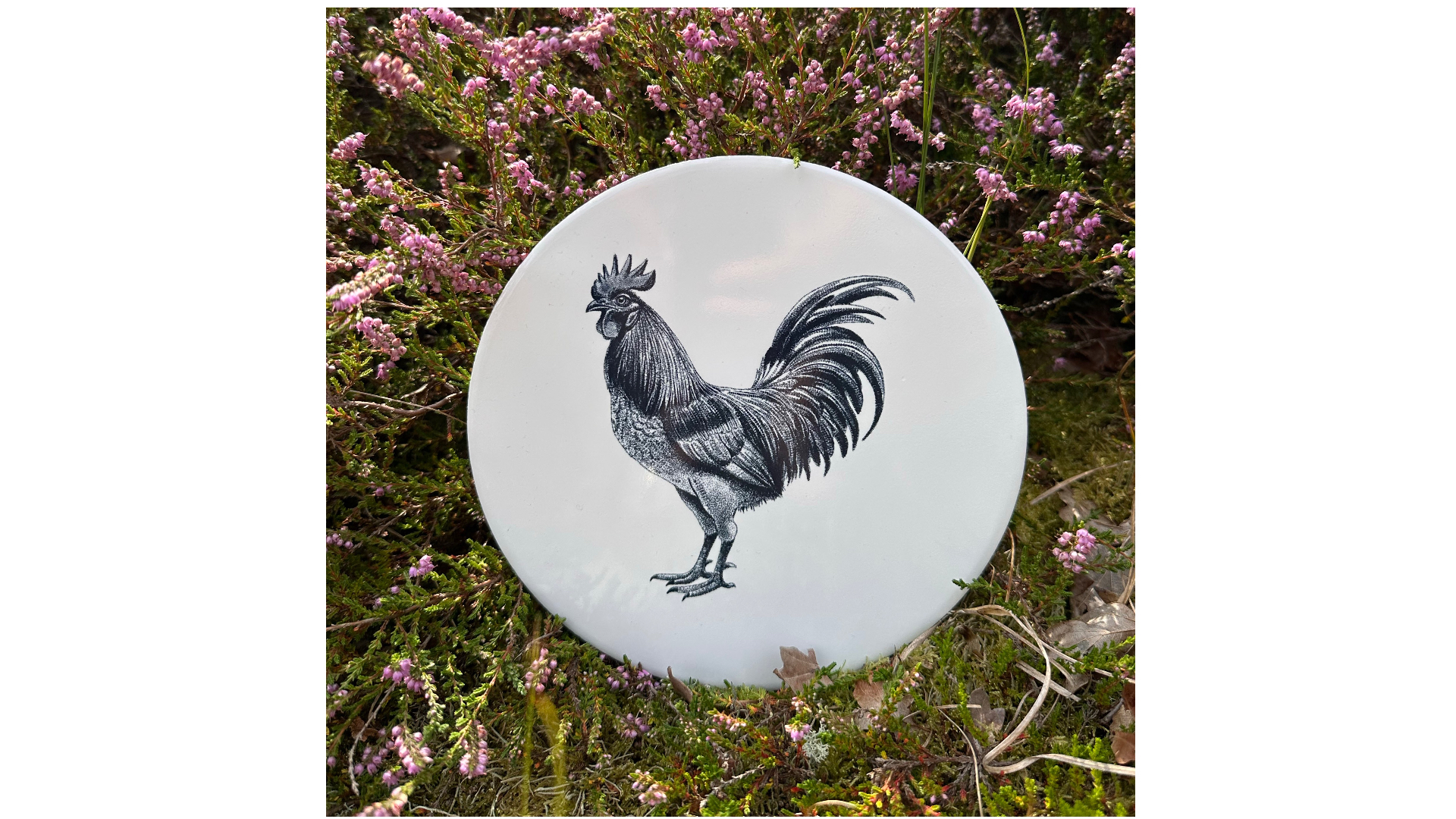 Tegel haan | Wad Anders Post Terschelling