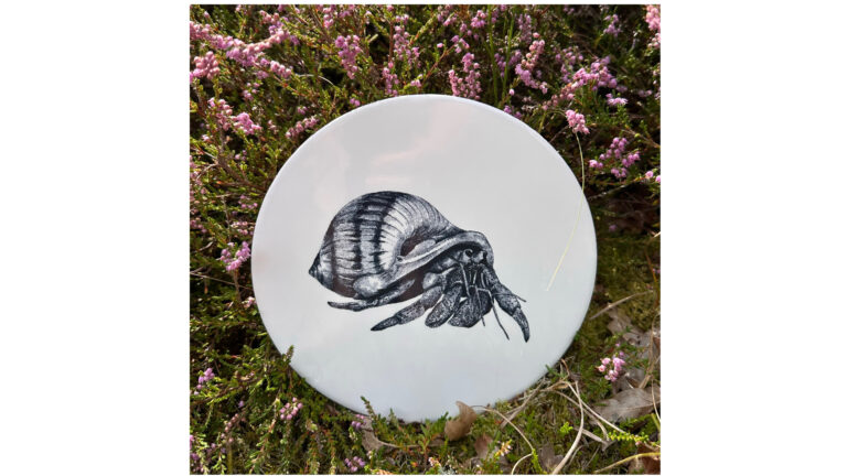 Tegel heremietkreeft | Wad Anders Post Terschelling