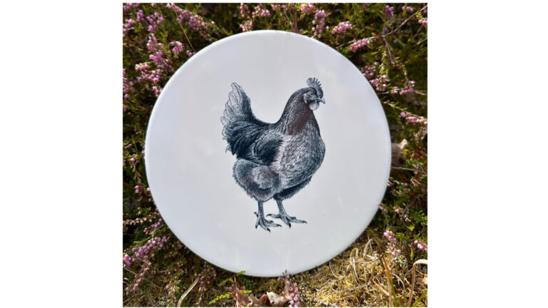 Tegel Kip | Wad Anders Post Terschelling