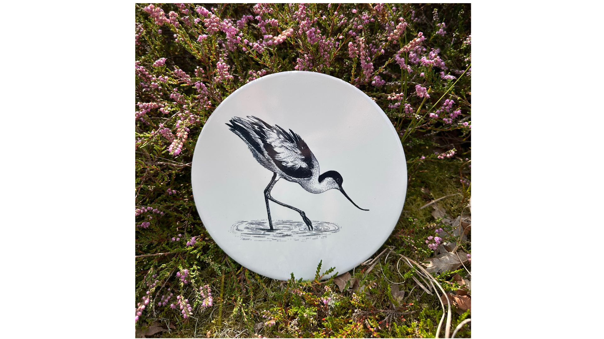 tegel Kluut | Wad Anders Post Terschelling