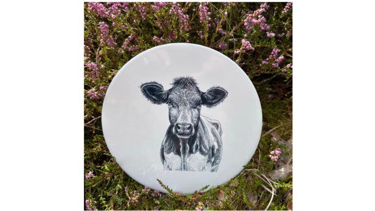 Tegel Koe | Wad Anders Post Terschelling