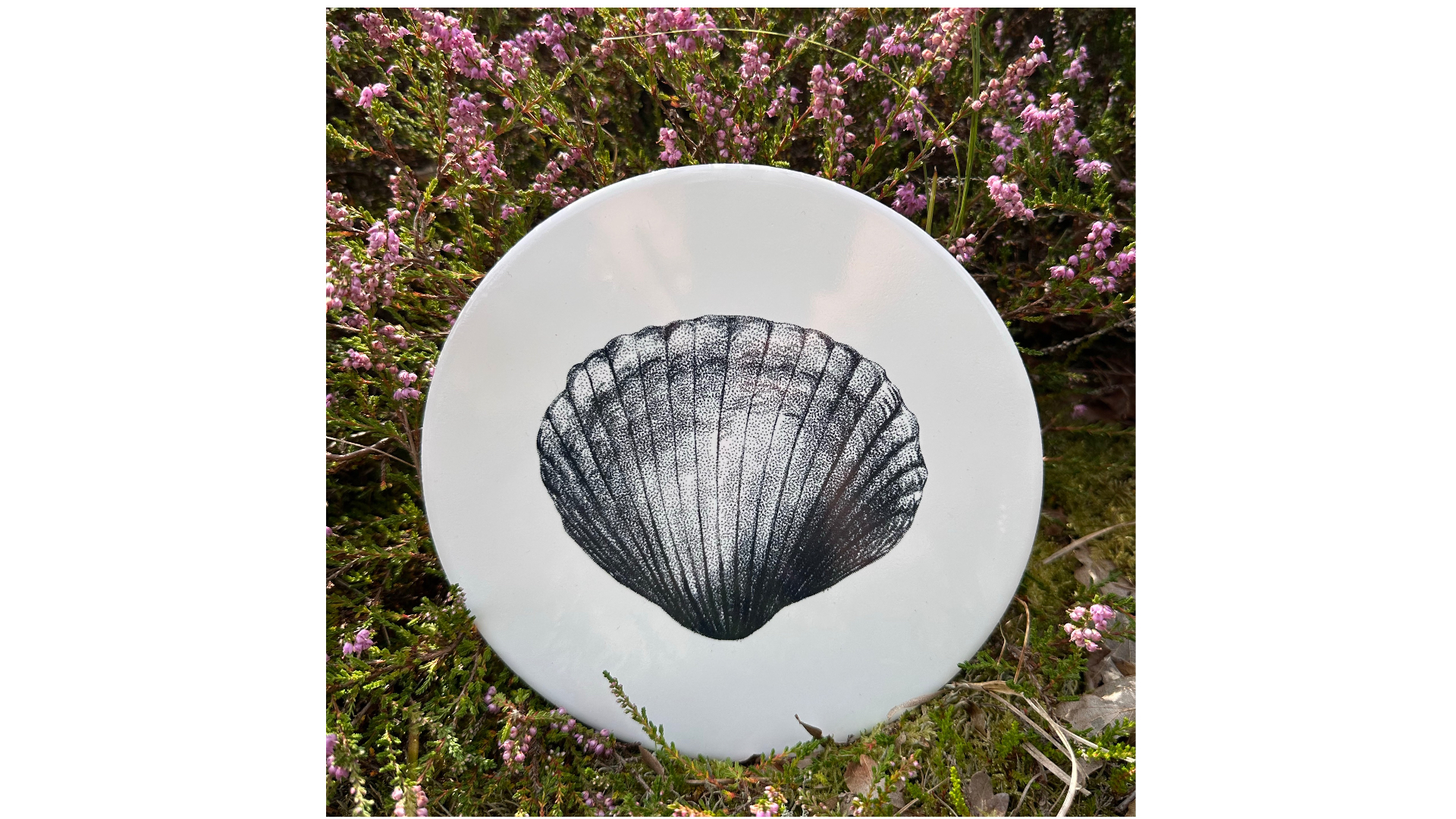 tile Cockle | Wad Anders Post Terschelling