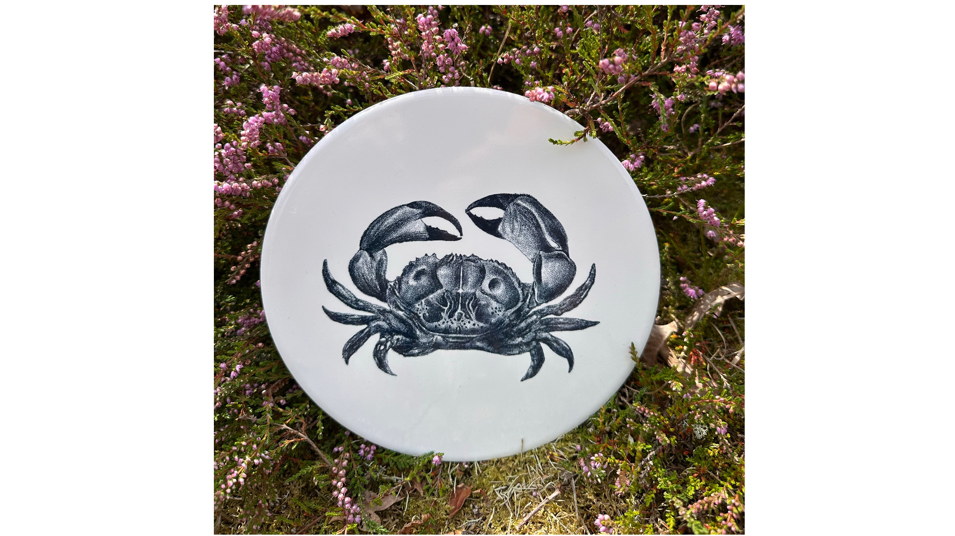 Tegel Krab | Wad Anders Post Terschelling