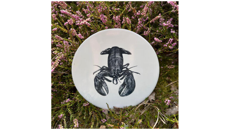 Tegel Kreeft | Wad Anders Post Terschelling