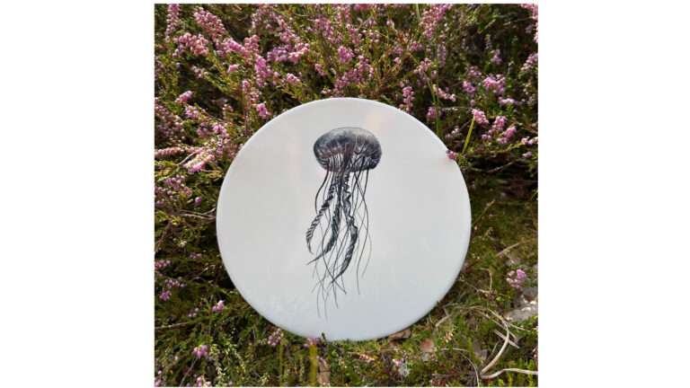 Tegel Kwal | Wad Anders Post Terschelling