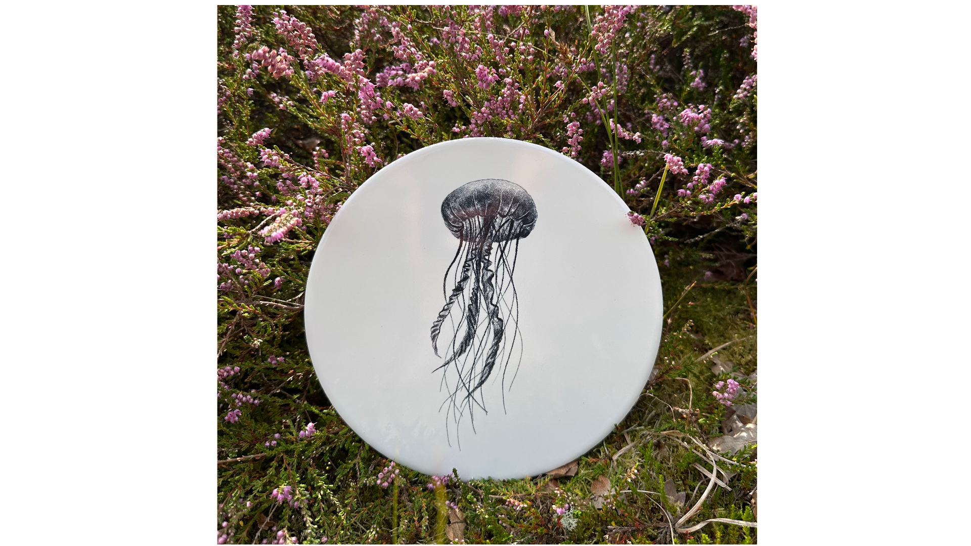 Tegel Kwal | Wad Anders Post Terschelling