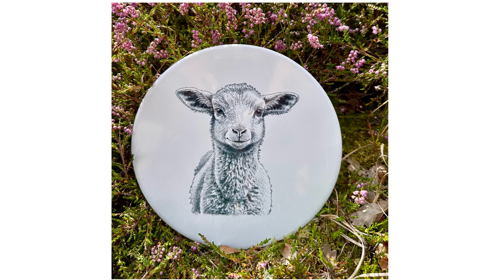 tegel Lammetje | Wad Anders Post Terschelling