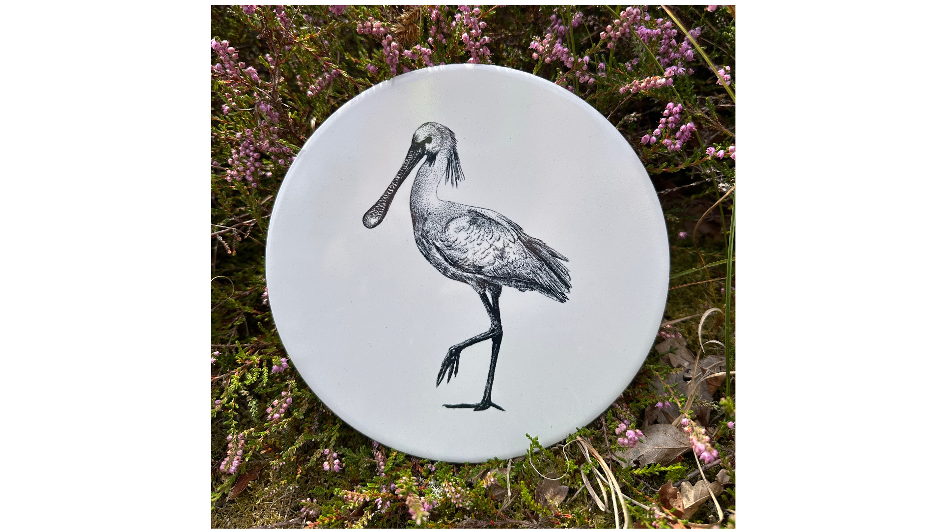 Tegel Lepelaar | Wad Anders Post Terschelling