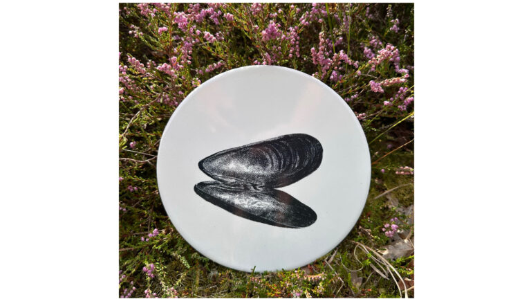 Tegel Mossel | Wad Anders Post Terschelling