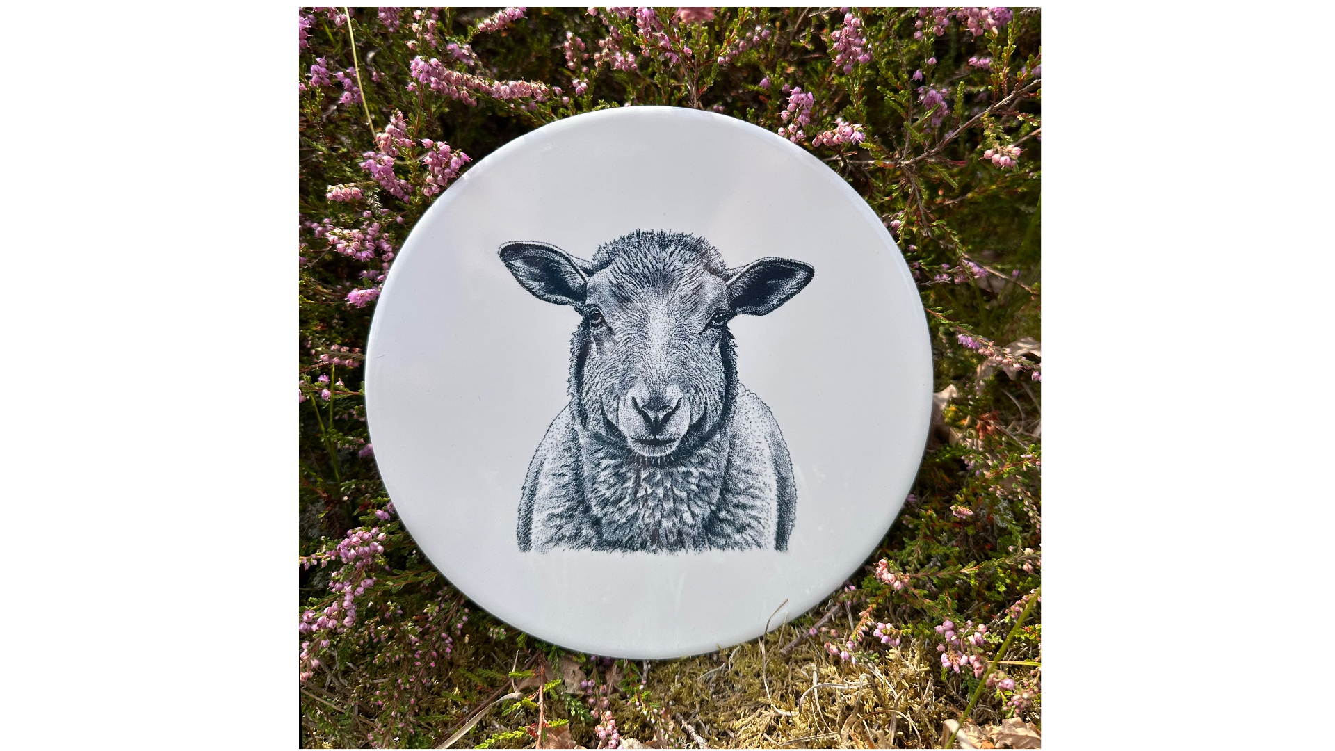 Tegel Schaap | Wad Anders Post Terschelling