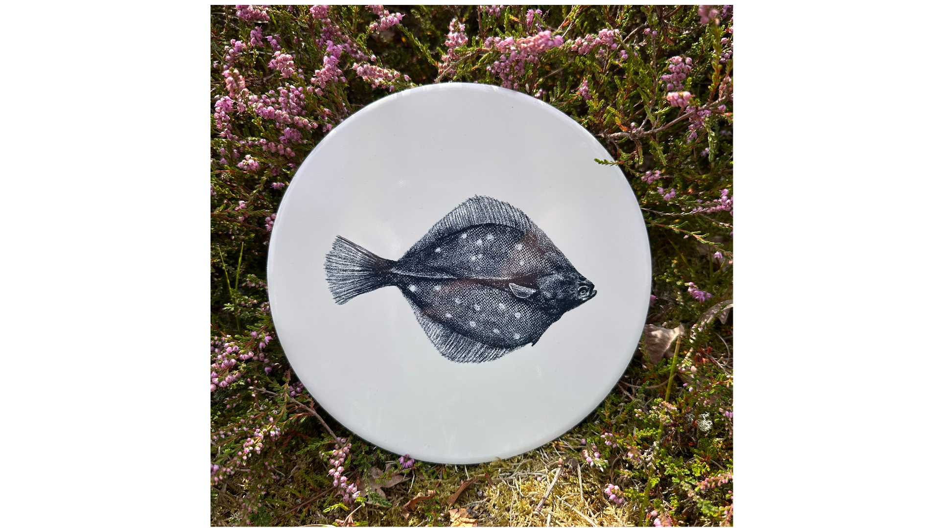 Tegel Schol | Wad Anders Post Terschelling