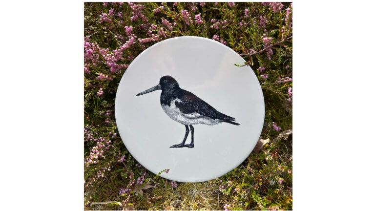 Tegel Scholekster | Wad Anders Post Terschelling