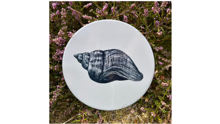 Wulk | Wad Anders Post Terschelling