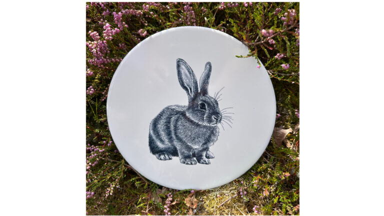 Tegel Konijn | Wad Anders Post Terschelling