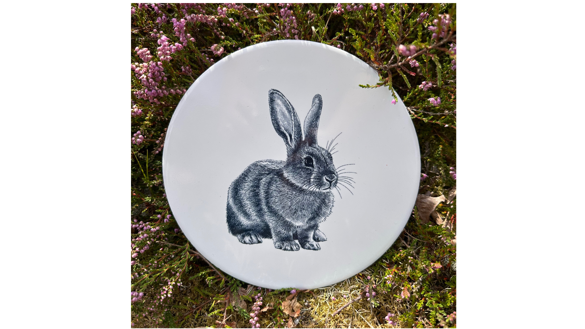 Tegel Konijn | Wad Anders Post Terschelling