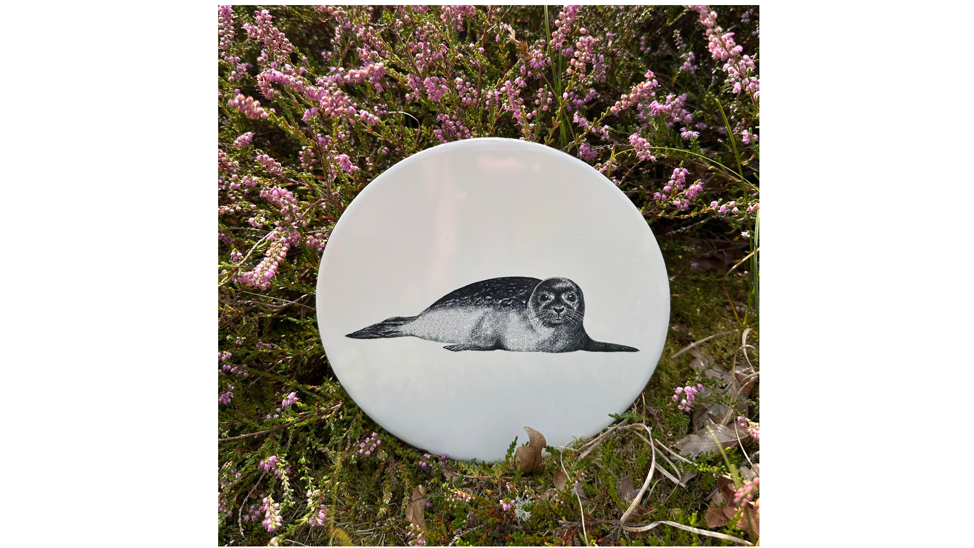 tegel zeehond | Wad Anders Post Terschelling