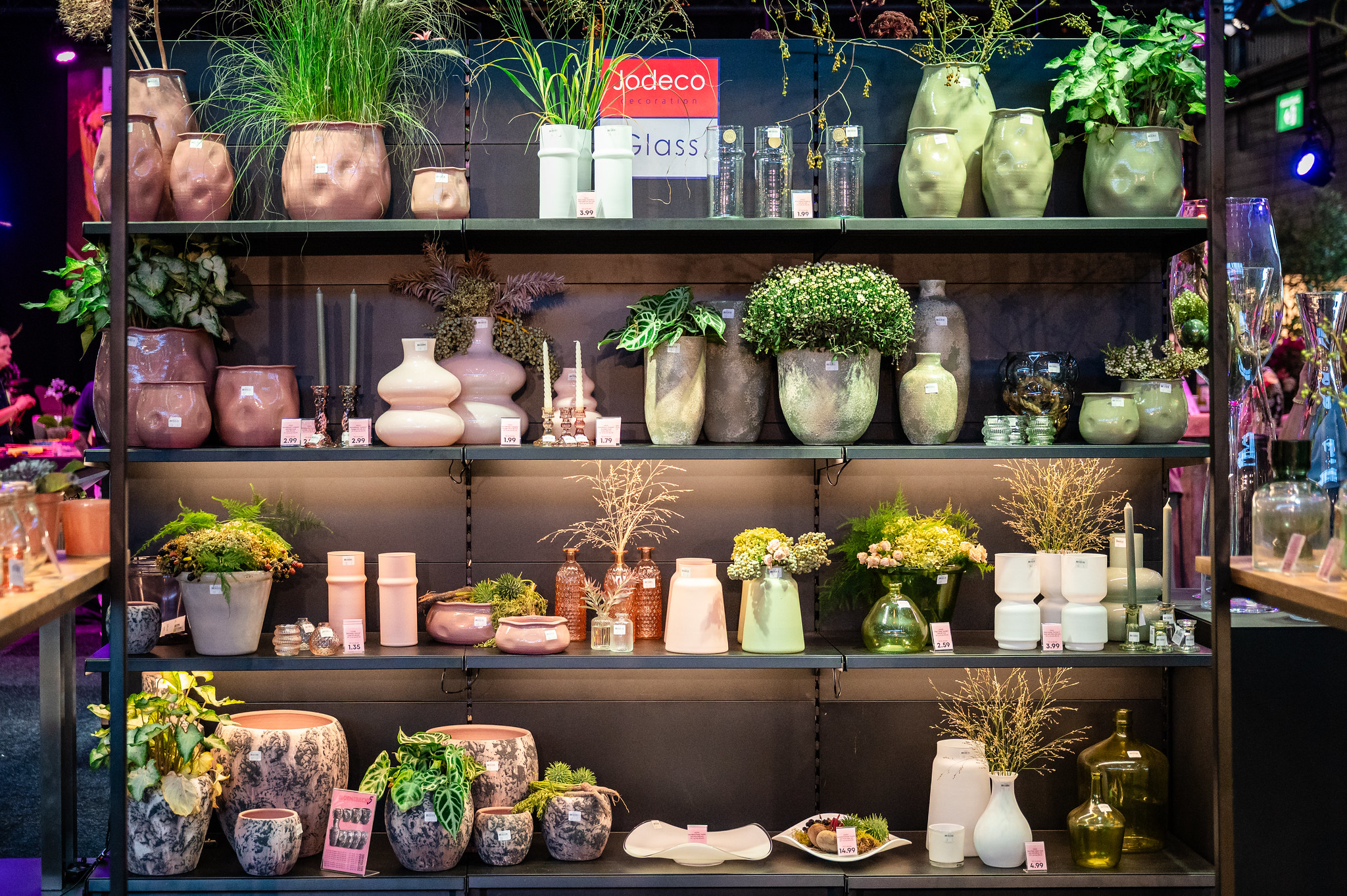 54752000751_3762d2c647_k