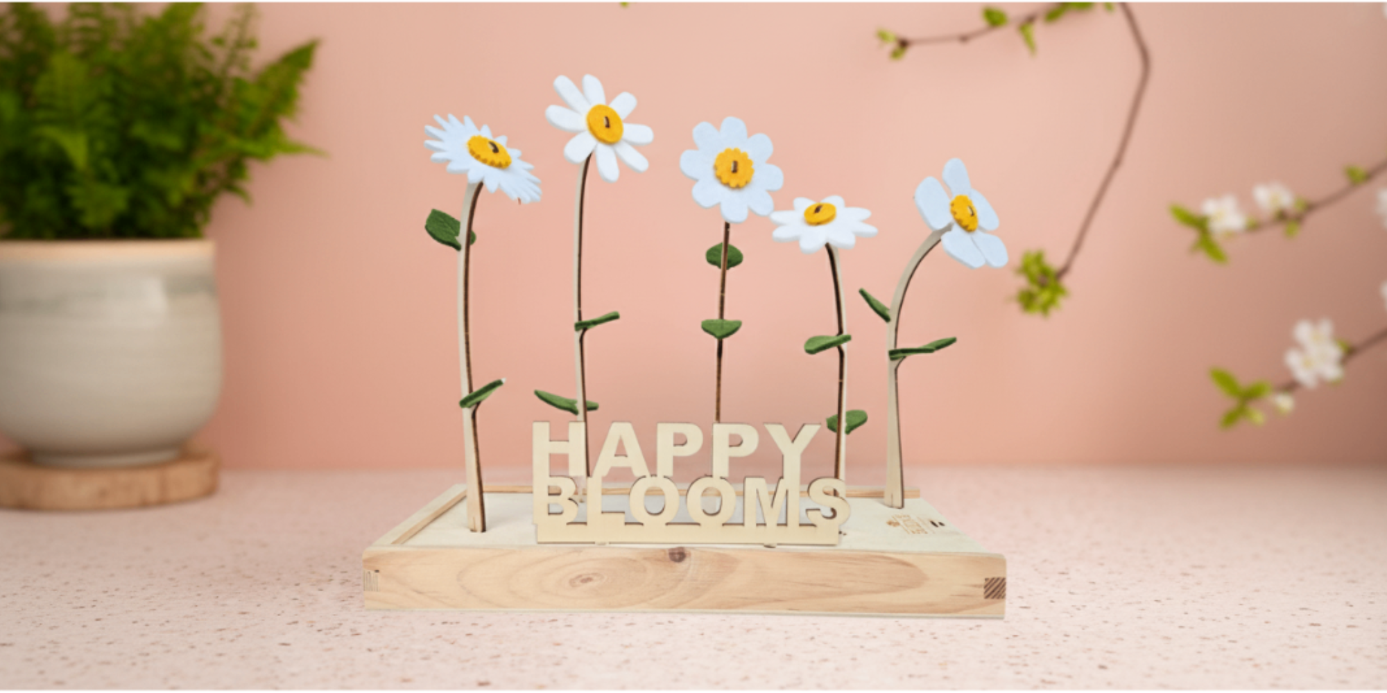 Blooms out of the Box