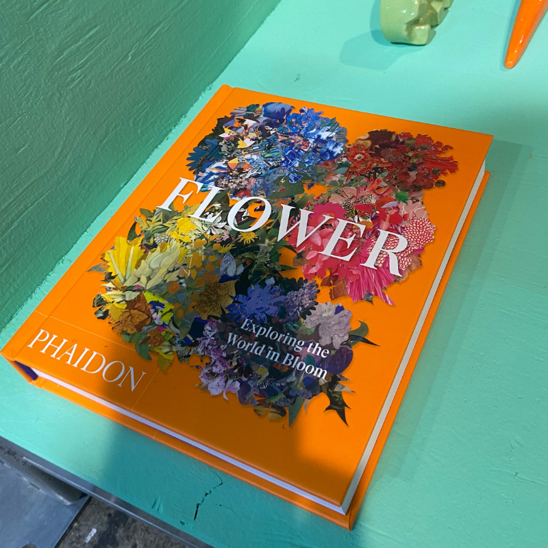 Oranje bloemenboek FLOWER op turquoise tafel