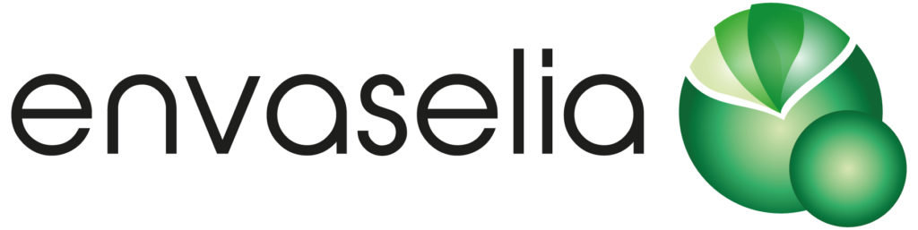 logo de envaselia