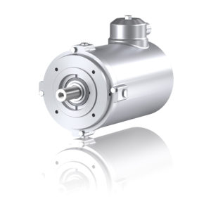 Motor washdown IEC Inoxidable