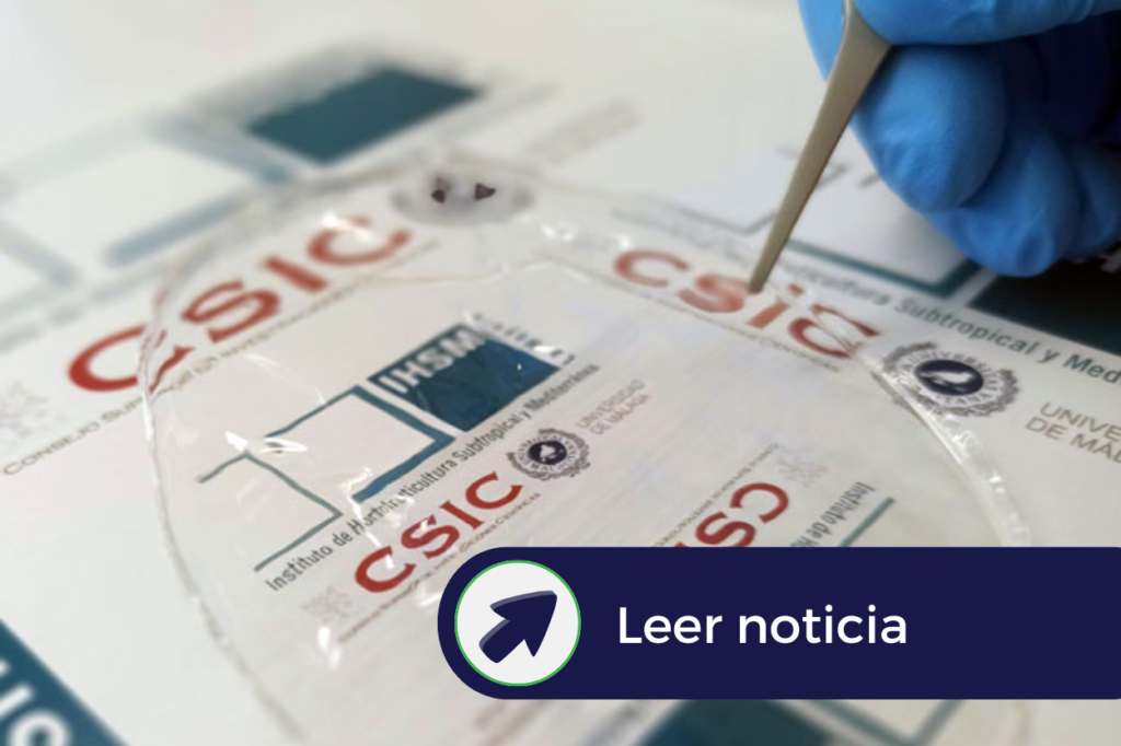 bioplástico a partir de celulosa