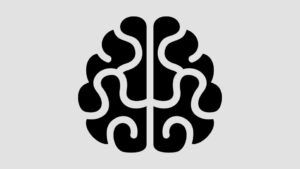 Software Industrial BRAIN2