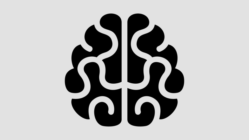 Software Industrial BRAIN2