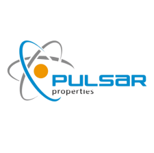 pulsar properties