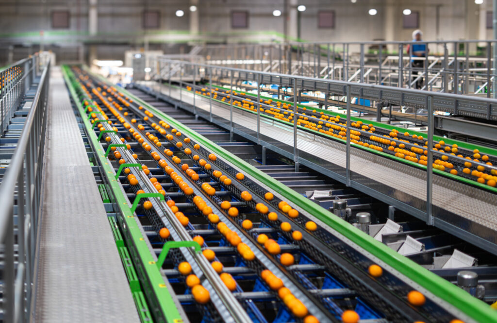 BNF V12.24 PH©Gsus-192