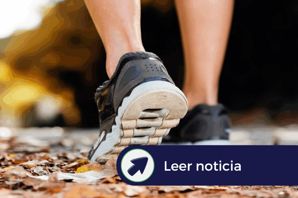 itene noticia