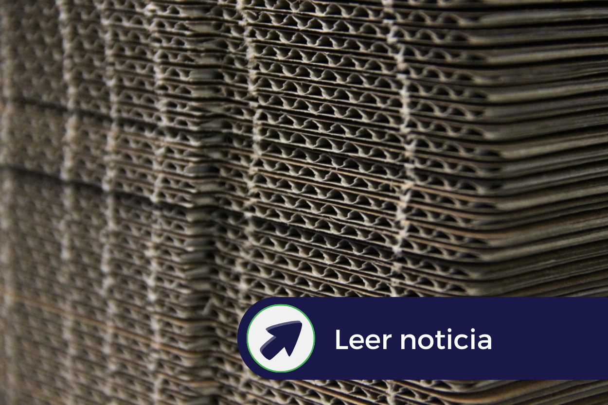 Noticia de Ecodise&ntilde;o