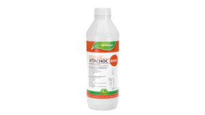 VITACHOC BOOST