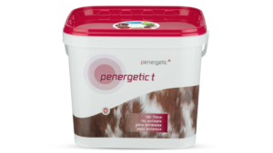 PENERGETIC T