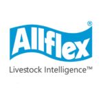 allflex_vierkant