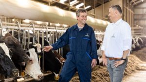 COMMERCIEEL ADVISEUR MELKVEEHOUDERIJ DRENTHE