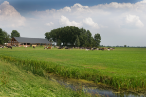 Agrarisch bedrijfsadvies