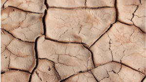 Droogte: 26% van ons drinkwater wordt gebruikt voor het toiletbezoek